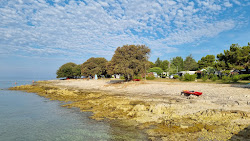 Fresh Corner Beach'in fotoğrafı çok temiz temizlik seviyesi ile