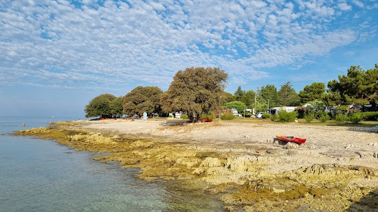 Fresh Corner Beach