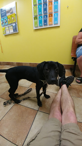 Pet Supply Store «PetSmart», reviews and photos, 1391 S Commons Dr, Myrtle Beach, SC 29588, USA