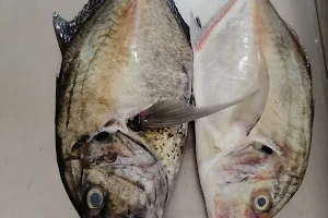 الشموسي للأسماك الطازجة و المأكولات البحرية image