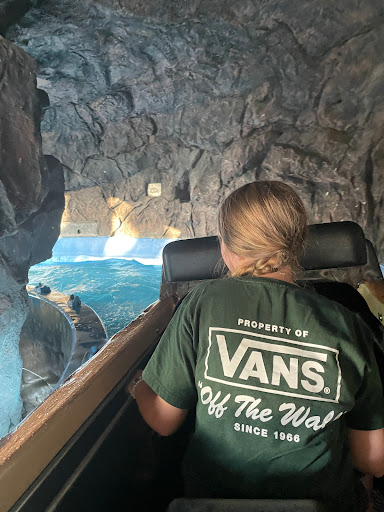 Amusement Park «Castles ~n~ Coasters», reviews and photos, 9445 N Metro Pkwy E, Phoenix, AZ 85051, USA