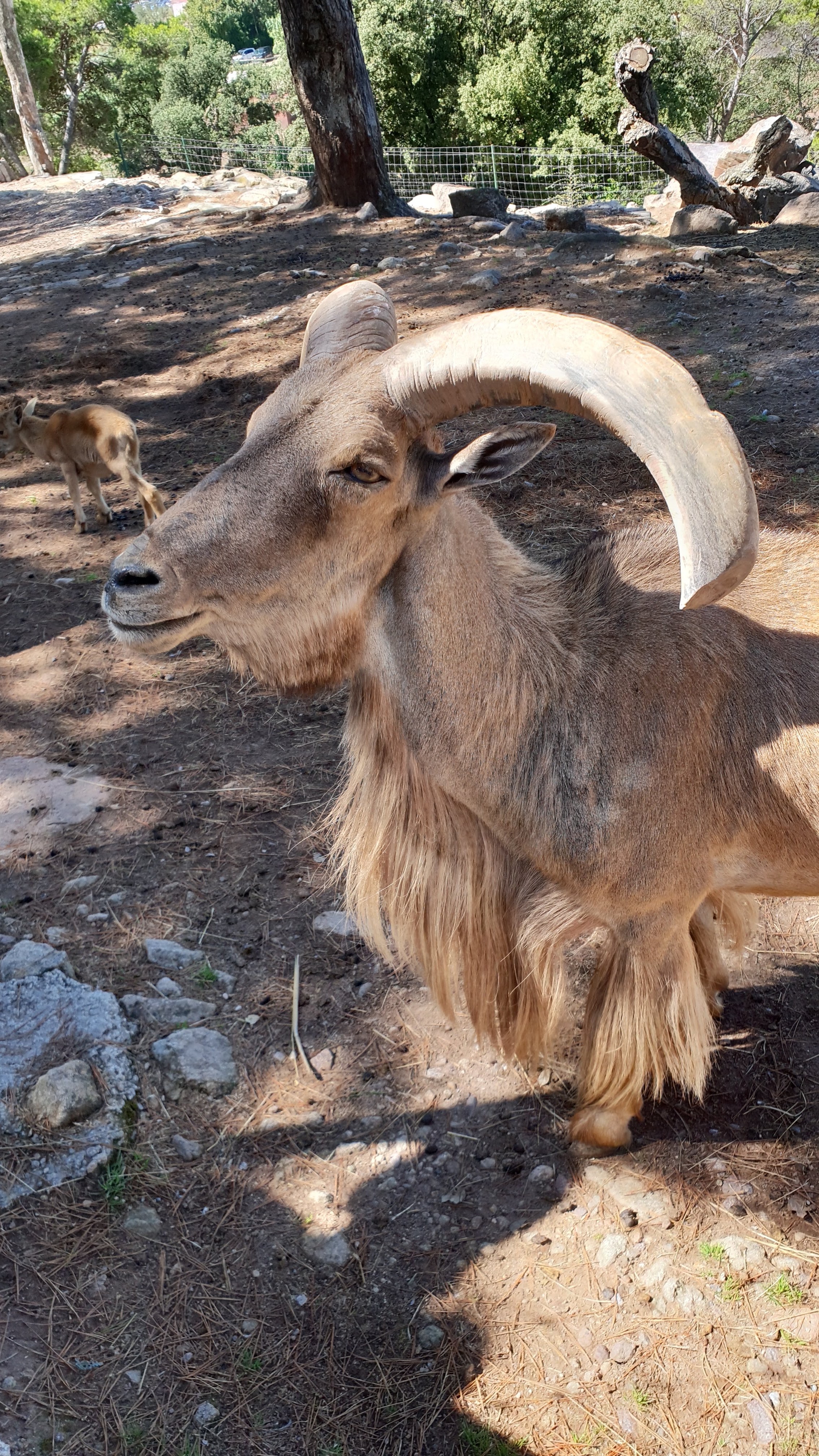 Photo n° 1 de l'avis de Axel.l fait le 15/08/2018 à 11:22
