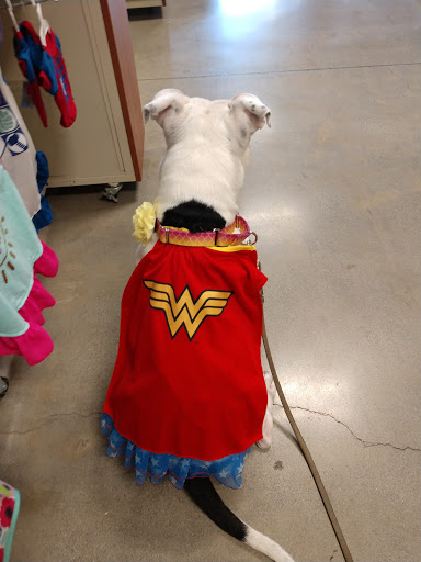 Pet Supply Store «PetSmart», reviews and photos, 13720 Riverside Dr, Sherman Oaks, CA 91423, USA