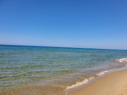 Zdjęcie Spiaggia di Sabaudia z poziomem czystości wysoki