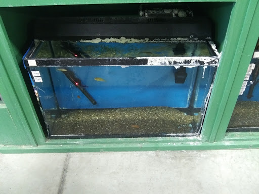 Pet Supply Store «Saluda River Pet», reviews and photos, 130 Robin Helton Dr, Boiling Springs, SC 29316, USA