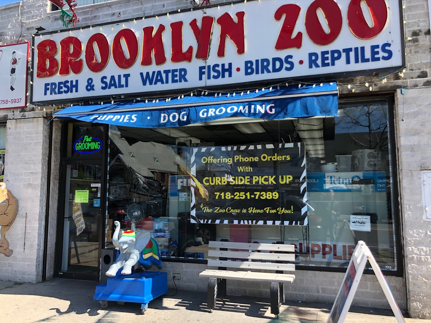 Brooklyn Zoo & Aquarium Pet Store