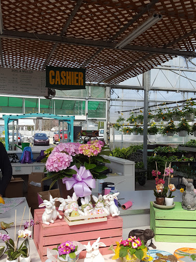 Florist «Meier Flowerland & Greenhouse», reviews and photos, 8087 Grand River Ave, Brighton, MI 48114, USA