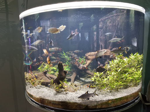 Aquarium «Loveland Living Planet Aquarium», reviews and photos, 12033 Lone Peak Pkwy, Draper, UT 84020, USA
