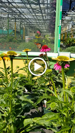 Florist «Dutch & Olgas Greenhouse», reviews and photos, 1285 NJ-36, Hazlet, NJ 07730, USA