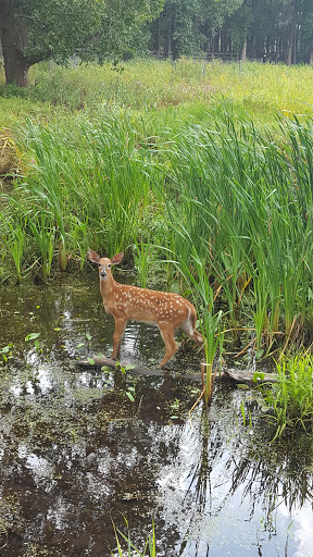 Nature Preserve «Times Beach Nature Preserve», reviews and photos, Coast Guard Station S Rd, Buffalo, NY 14203, USA