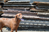 Reclaimed Wood of Denver - Photo 6 - Car repair in Commerce City, CO, Thornton