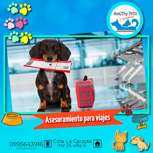 Veterinaria & Peluquería Canina Healthy Pets - Veterinario