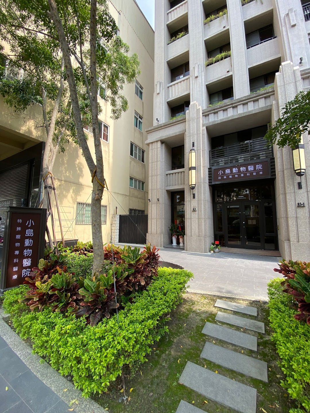 小島動物醫院 兔子針灸野生動物醫院兔子醫院烏龜醫院推薦寵物醫院鸚鵡醫院蜥蜴醫院在城市west District