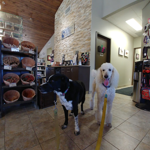 Guelph Animal Hospital image