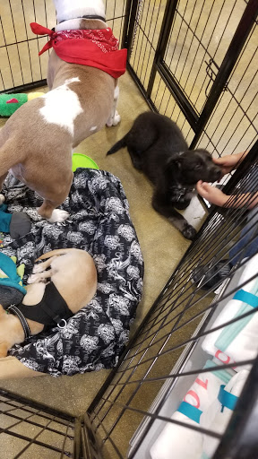 Pet Supply Store «PetSmart», reviews and photos, 745 W Huntington Dr, Monrovia, CA 91016, USA