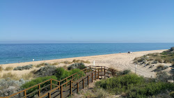 Buffalo Beach'in fotoğrafı çok temiz temizlik seviyesi ile