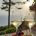 Photo n°11 de l'avis de Luca.e fait le 07/08/2019 à 11:35 sur le  Boutique Hotel Torre di Cala Piccola à Porto San Stefano