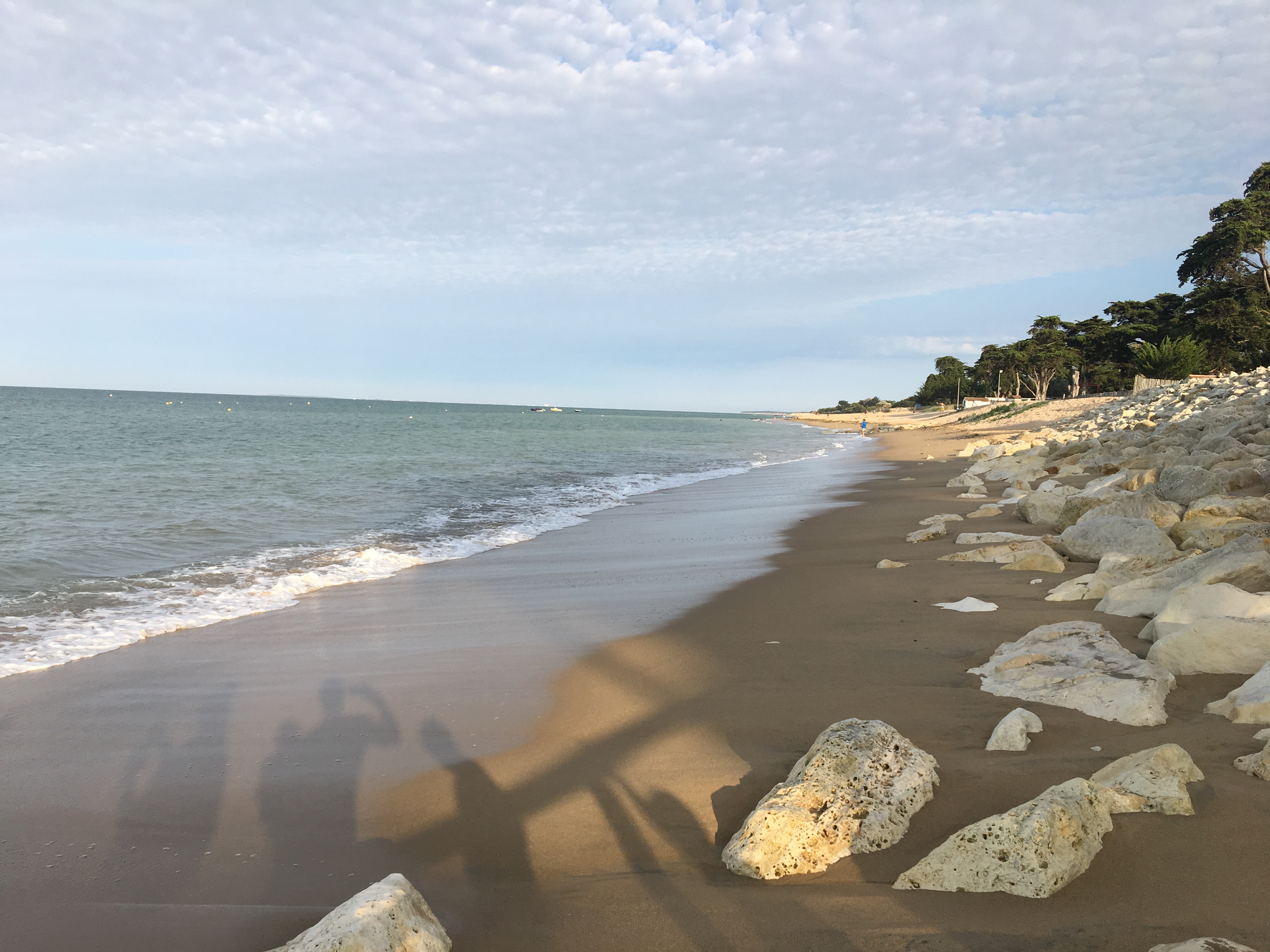 Photo n° 2 de l'avis de Romain.I fait le 25/08/2017 à 07:21