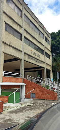 Instituto Universitario Avepane