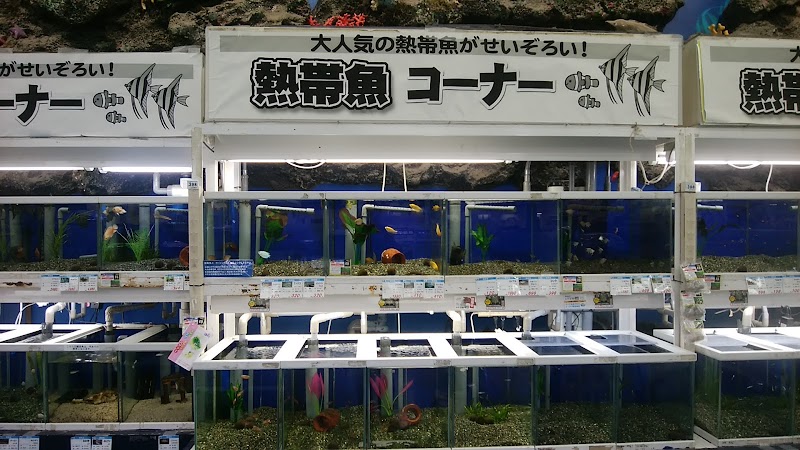 ジョイフル本田 瑞穂店 ペットワールド 東京都瑞穂町殿ケ谷 ペットショップ ペット グルコミ