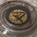 Photo n° 1 de l'avis de Philippe.u fait le 03/05/2024 à 05:23 pour Le Relais de Lavande à Montagnac-Montpezat