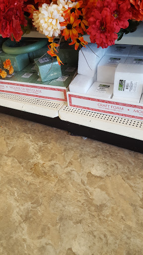 Dollar Store «Dollar Tree», reviews and photos, 235 Prospect Ave, West Orange, NJ 07052, USA