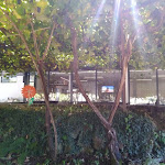 Photo n°1 de l'avis de ch.e fait le 30/09/2019 à 12:20 sur le  Sombrinha à Secarias