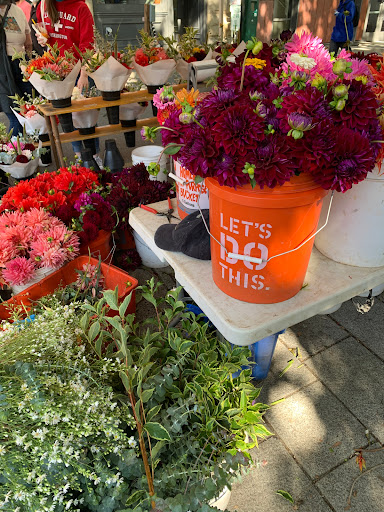 Market «Portland Saturday Market», reviews and photos, 2 SW Naito Pkwy, Portland, OR 97204, USA
