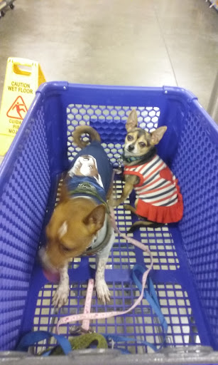 Pet Supply Store «PetSmart», reviews and photos, 11945 Central Ave, Chino, CA 91710, USA