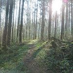 Photo n°4 de l'avis de Juergen.c fait le 11/04/2019 à 08:19 sur le  Wolffhotel(Archeryhotel) à Kopp