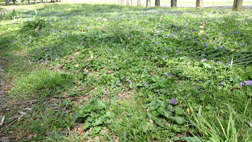 Park «George Rogers Clark Park», reviews and photos, 1024 Thruston Ave, Louisville, KY 40217, USA