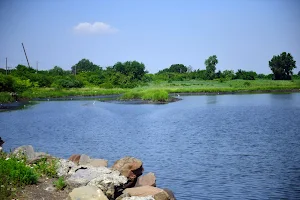 Spring Creek Park image