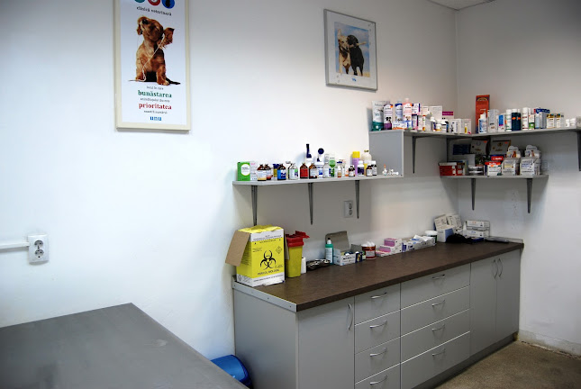 Opinii despre Clinica Veterinara Calvaria - Cabinet Veterinar - Pet Shop în <nil> - Veterinar