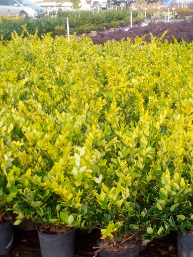 Landscaping Supply Store «SiteOne Landscape Supply», reviews and photos, 135 Mt Carmel Rd, McDonough, GA 30253, USA