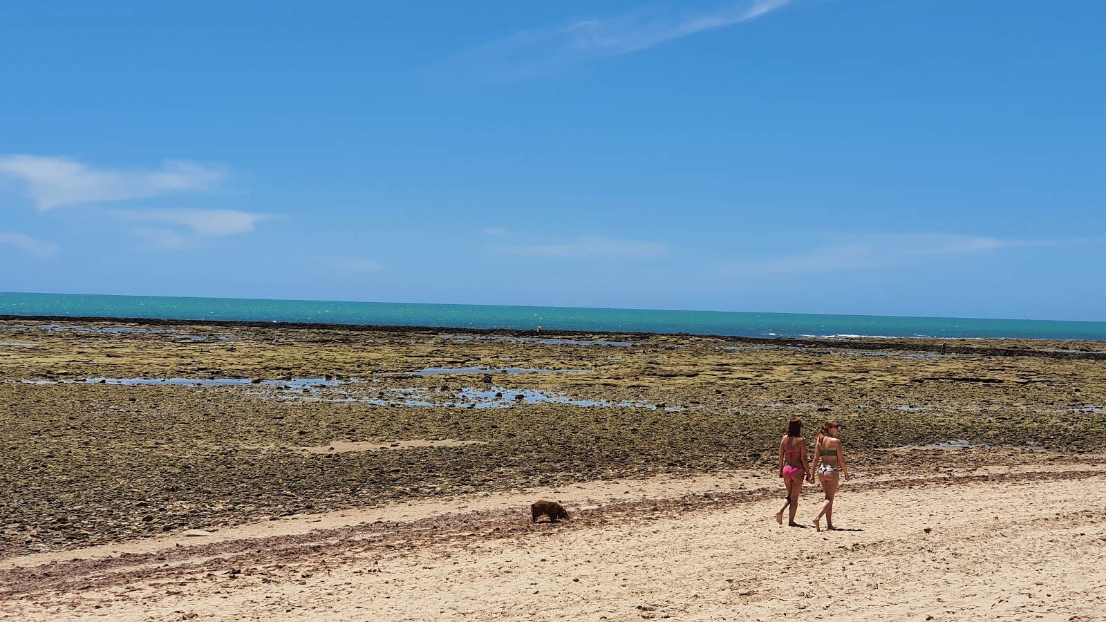 Photo de Plage Rota - recommandé pour les voyageurs en famille avec des enfants
