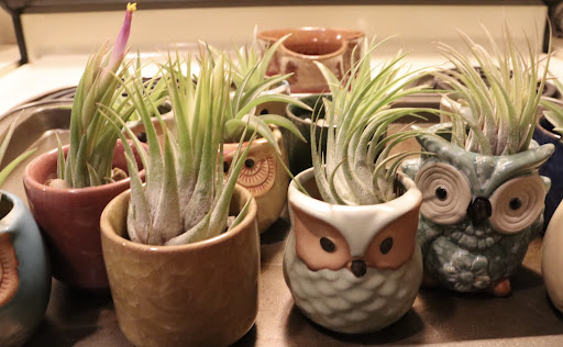 Grocery Store «Fort Valley Country Store», reviews and photos, 7091 Fort Valley Rd, Fort Valley, VA 22652, USA