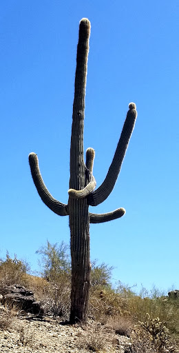 Park «South Mountain Park», reviews and photos, 10919 S Central Ave, Phoenix, AZ 85042, USA