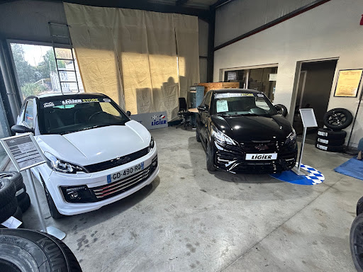 Photo 2 - VOITURES SANS PERMIS LIGIER ET MICROCAR - GARAGE LES PANDRAUX- AUTOPRIMO