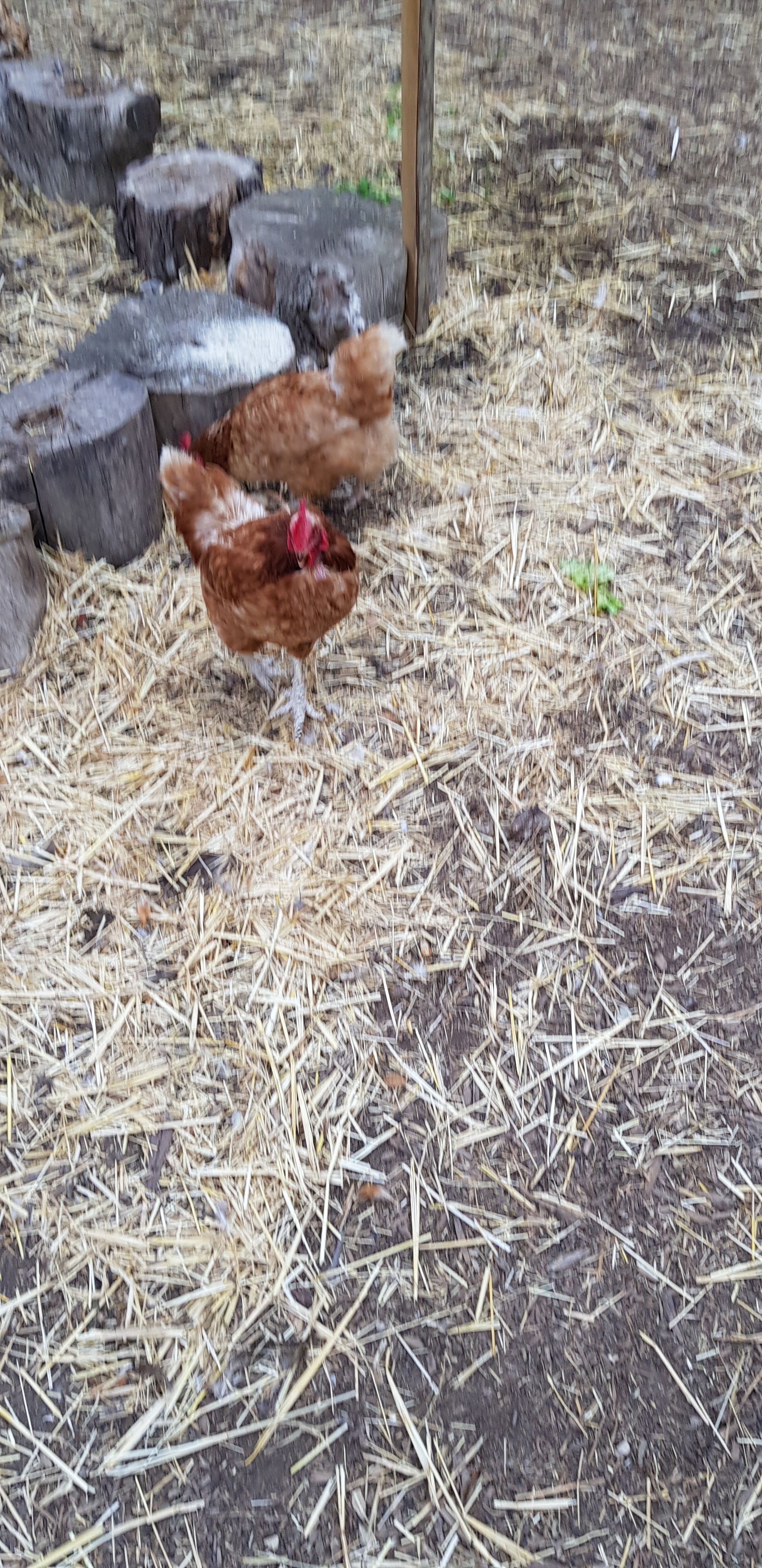 Photo n° 2 de l'avis de G4B_-.N fait le 09/11/2019 à 13:29