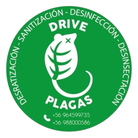 Opiniones de Drive Plagas en Padre Las Casas - Empresa de fumigación y control de plagas