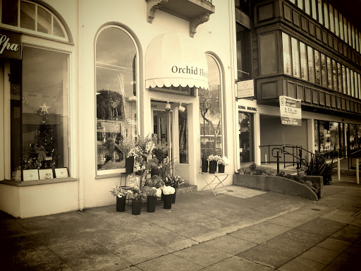 Florist «Orchid Florist», reviews and photos, 1768 Solano Ave, Berkeley, CA 94707, USA