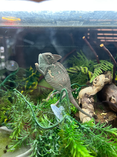 Pet Supply Store «PetSmart», reviews and photos, 1410 NE 23rd St, Pompano Beach, FL 33062, USA