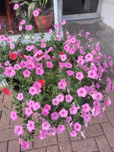 Florist «Rainbow Florist & Delectables Inc.», reviews and photos, 370 Main St, Laurel, MD 20707, USA