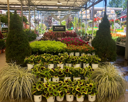 Home Improvement Store «The Home Depot», reviews and photos, 20260 SW Pacific Hwy, Sherwood, OR 97140, USA