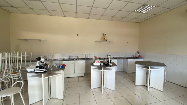 R. Aveiro, 367 - São Francisco, Belo Horizonte - MG, 31255-060, Brasil
