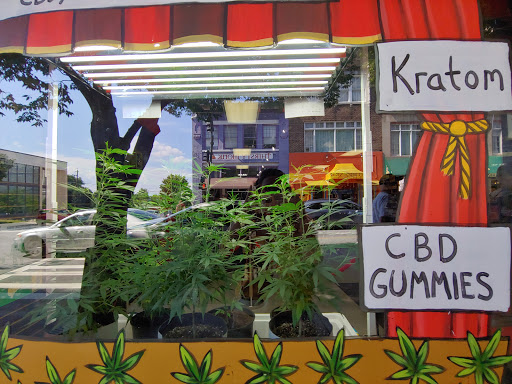 Craft Store «Kress Emporium», reviews and photos, 19 Patton Ave, Asheville, NC 28801, USA