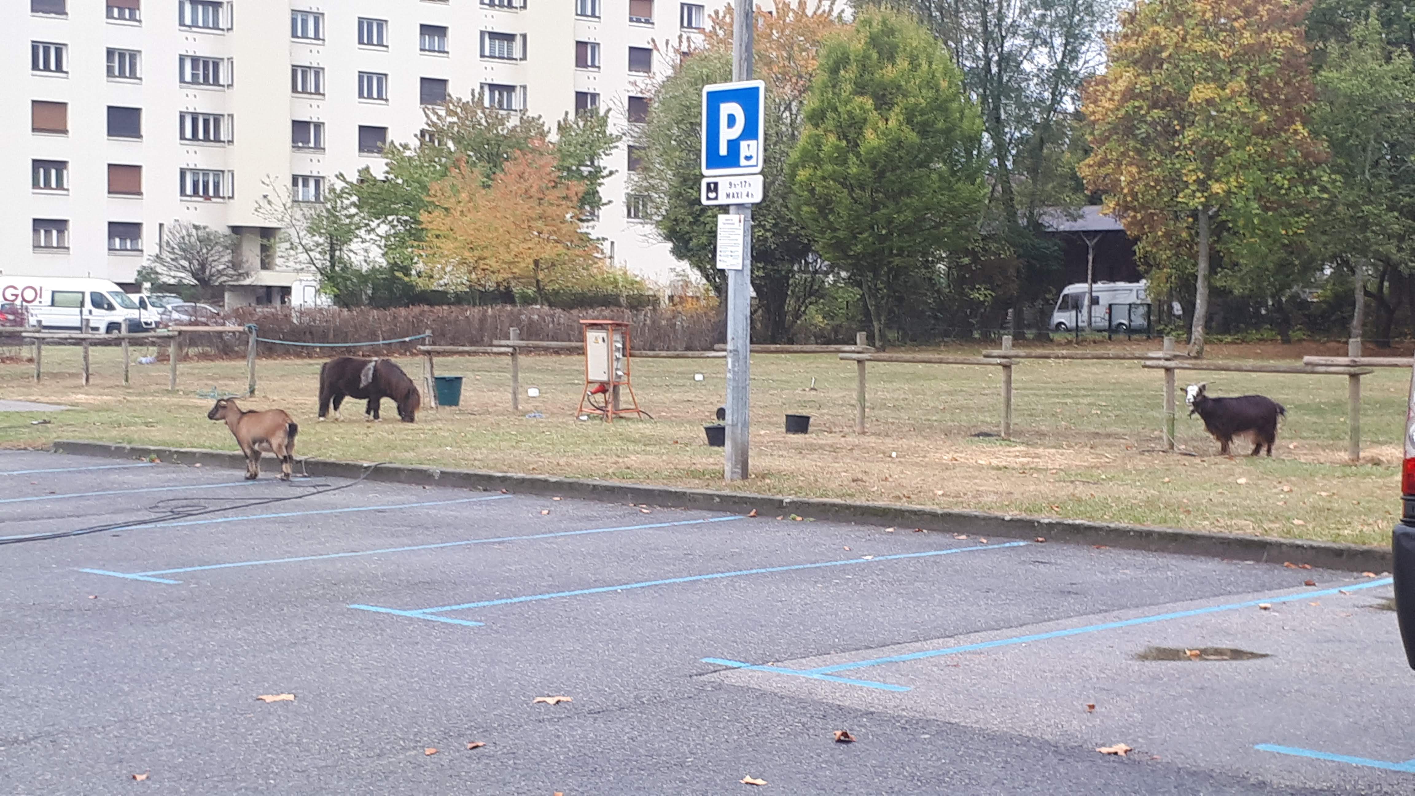 Photo n° 7 de l'avis de S_O. fait le 16/01/2019 à 11:25