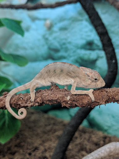 Pet Supply Store «Petco Animal Supplies», reviews and photos, 1917 Douglas Blvd, Roseville, CA 95661, USA