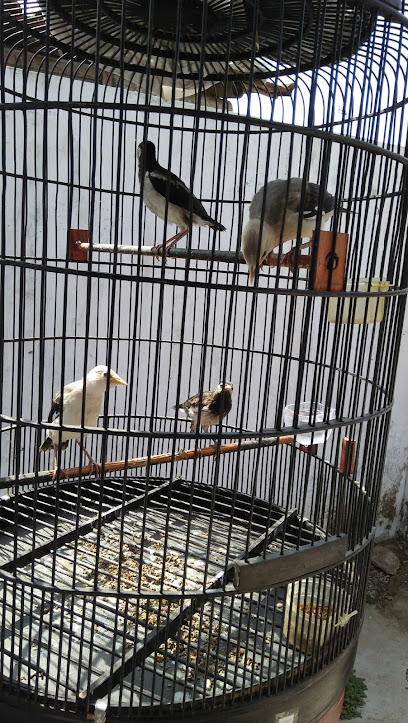 Chopyan Bird Shop