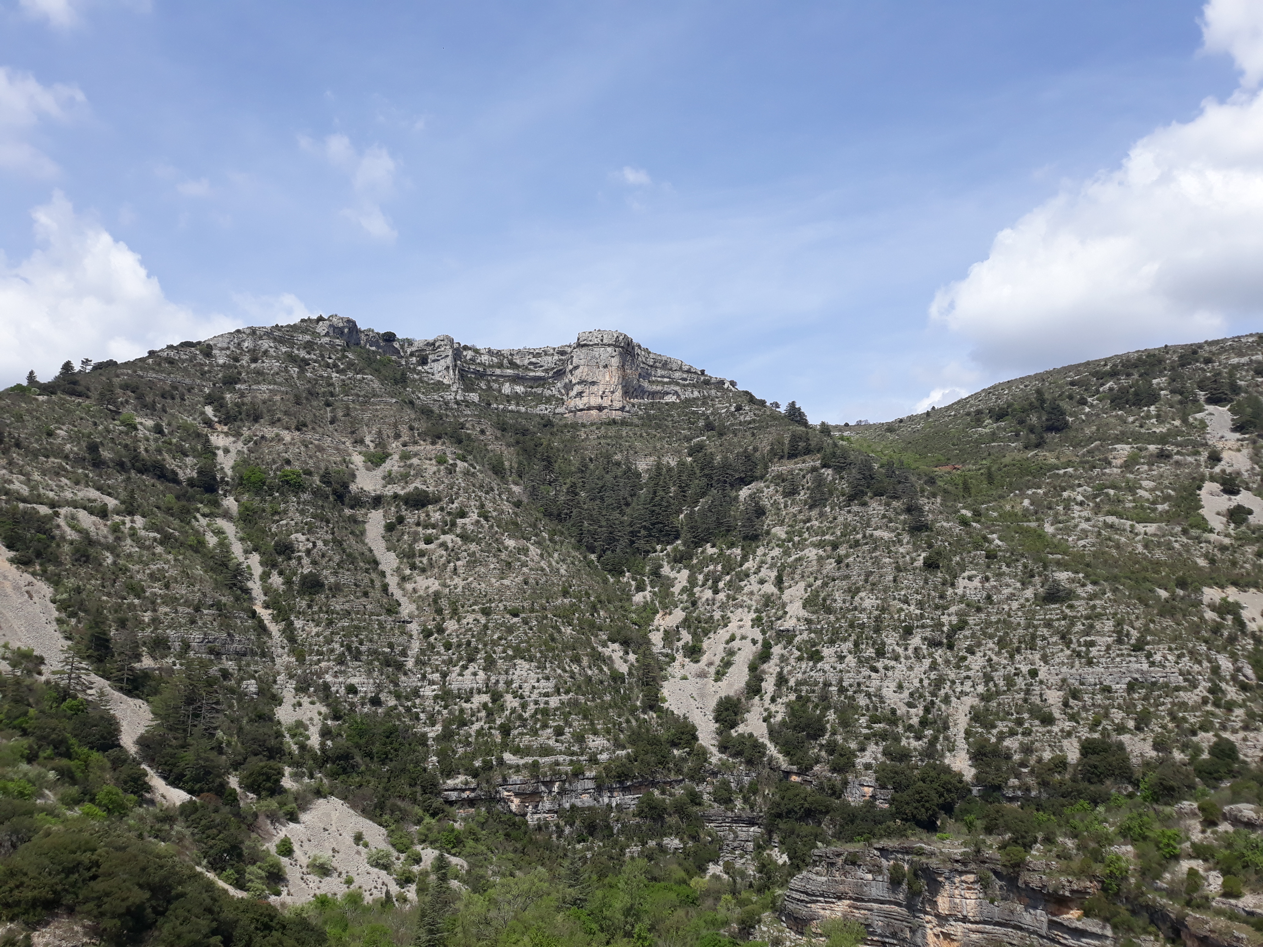 Photo n° 1 de l'avis de Sandy.� fait le 22/04/2022 à 11:40